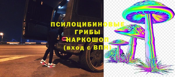 apvp Горнозаводск