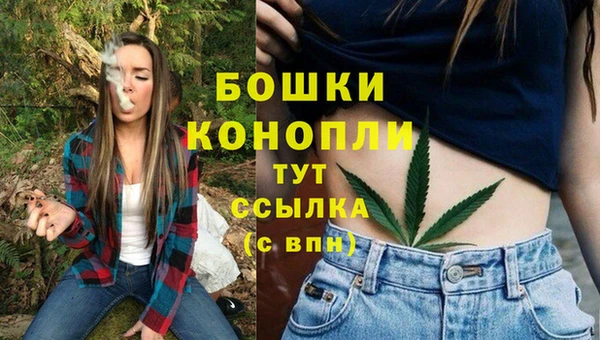 apvp Горнозаводск